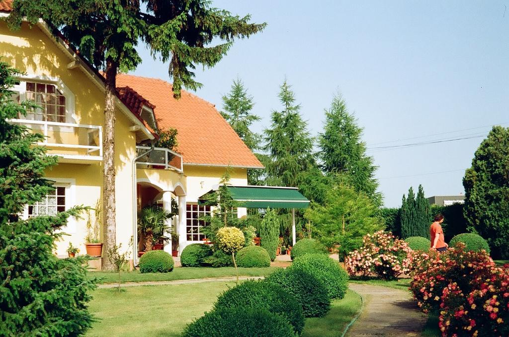 Villa Hedi Panzió Dunakiliti Exterior foto