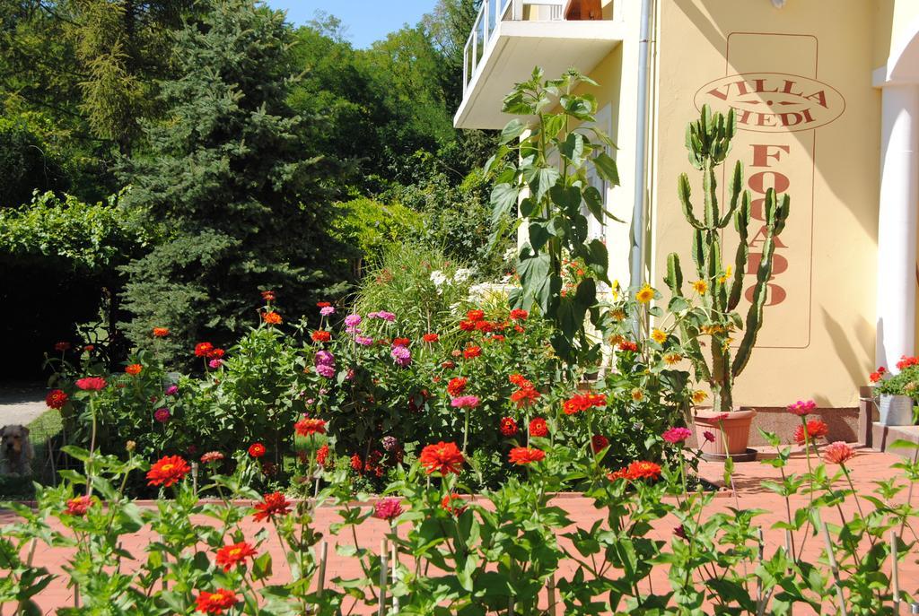 Villa Hedi Panzió Dunakiliti Exterior foto