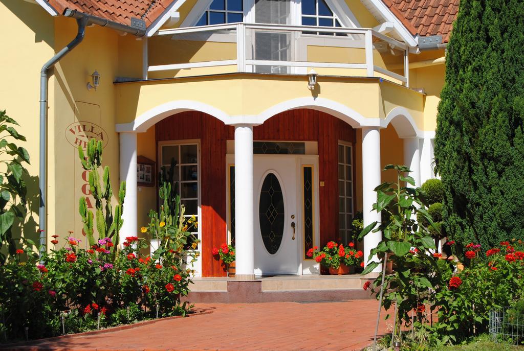 Villa Hedi Panzió Dunakiliti Exterior foto